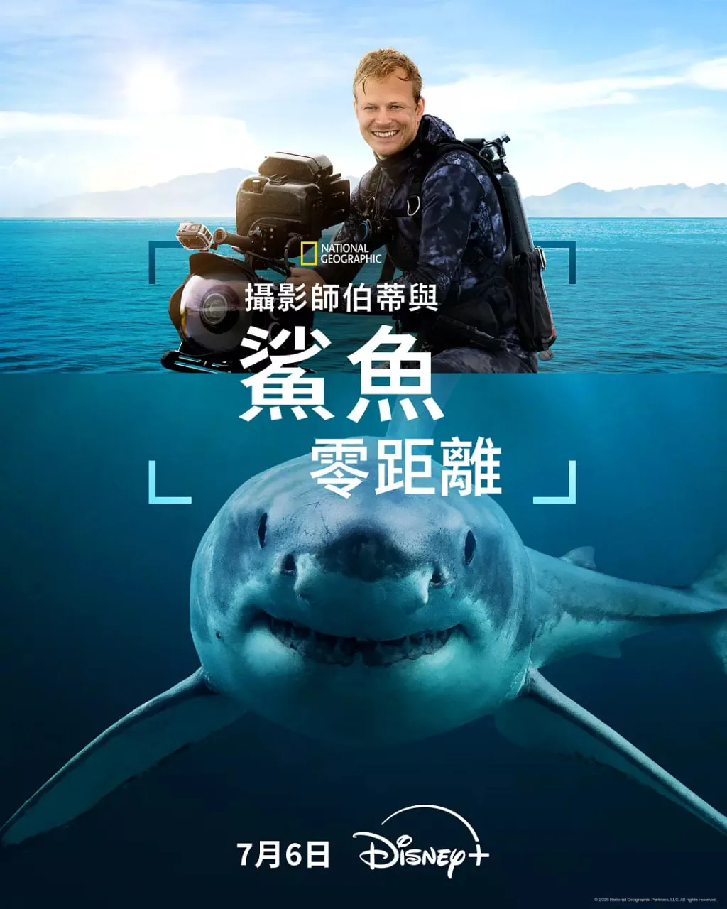 摄影师贝尔蒂与鲨鱼零距离海报