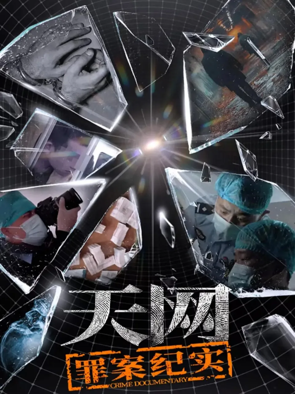 天网：罪案纪实海报
