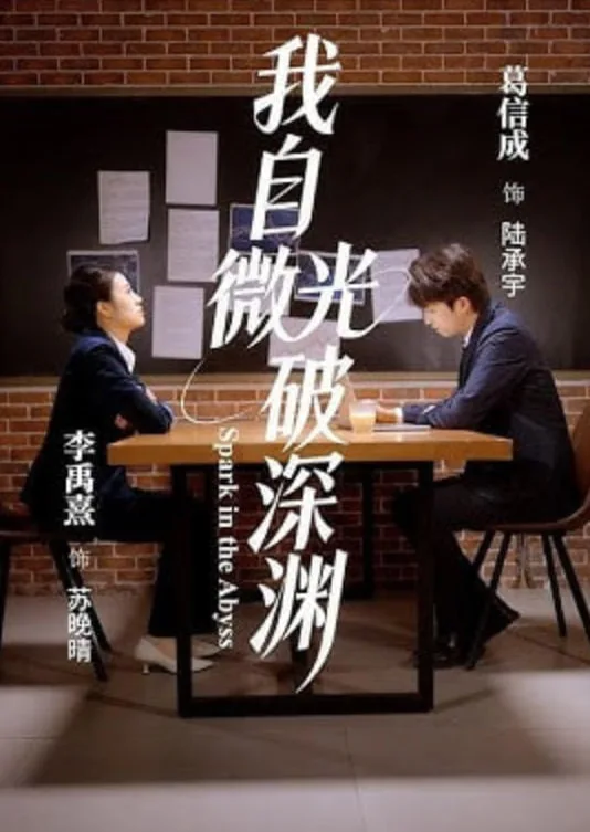 我自微光破深渊海报