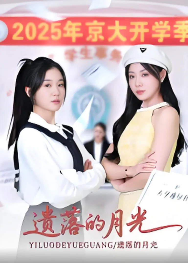 遗落的月光海报