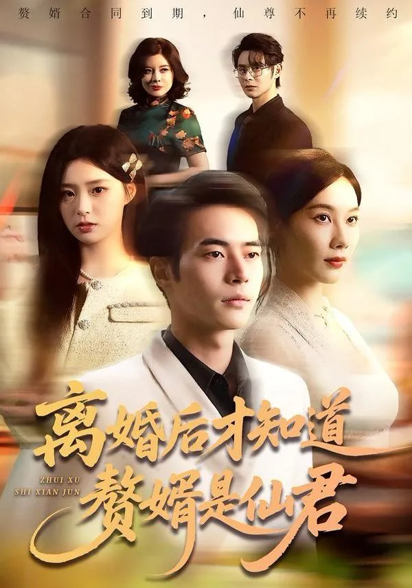 离婚后才知道赘婿是仙君海报