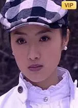 宝石迷踪海报