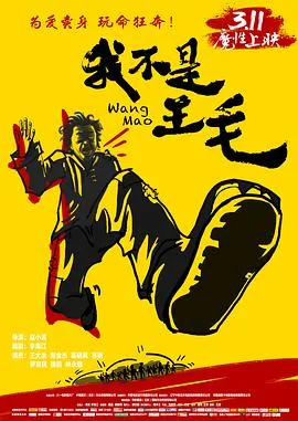 我不是王毛海报