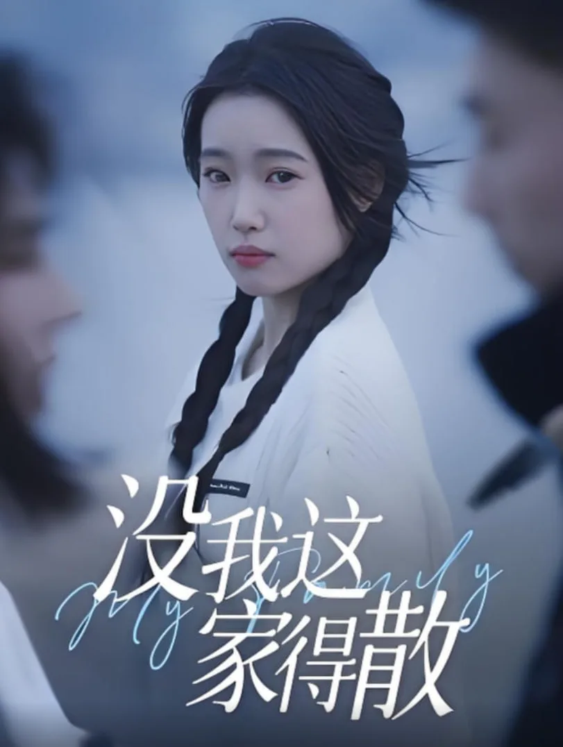 没我这家得散海报