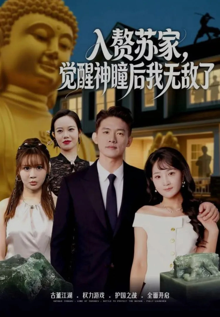 入赘苏家，觉醒神瞳后我无敌了海报