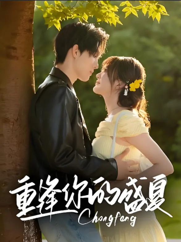 重逢你的盛夏海报