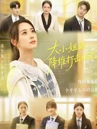 大小姐的降维打击日记海报