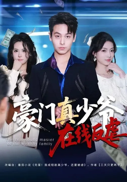 豪门真少爷在线反虐海报