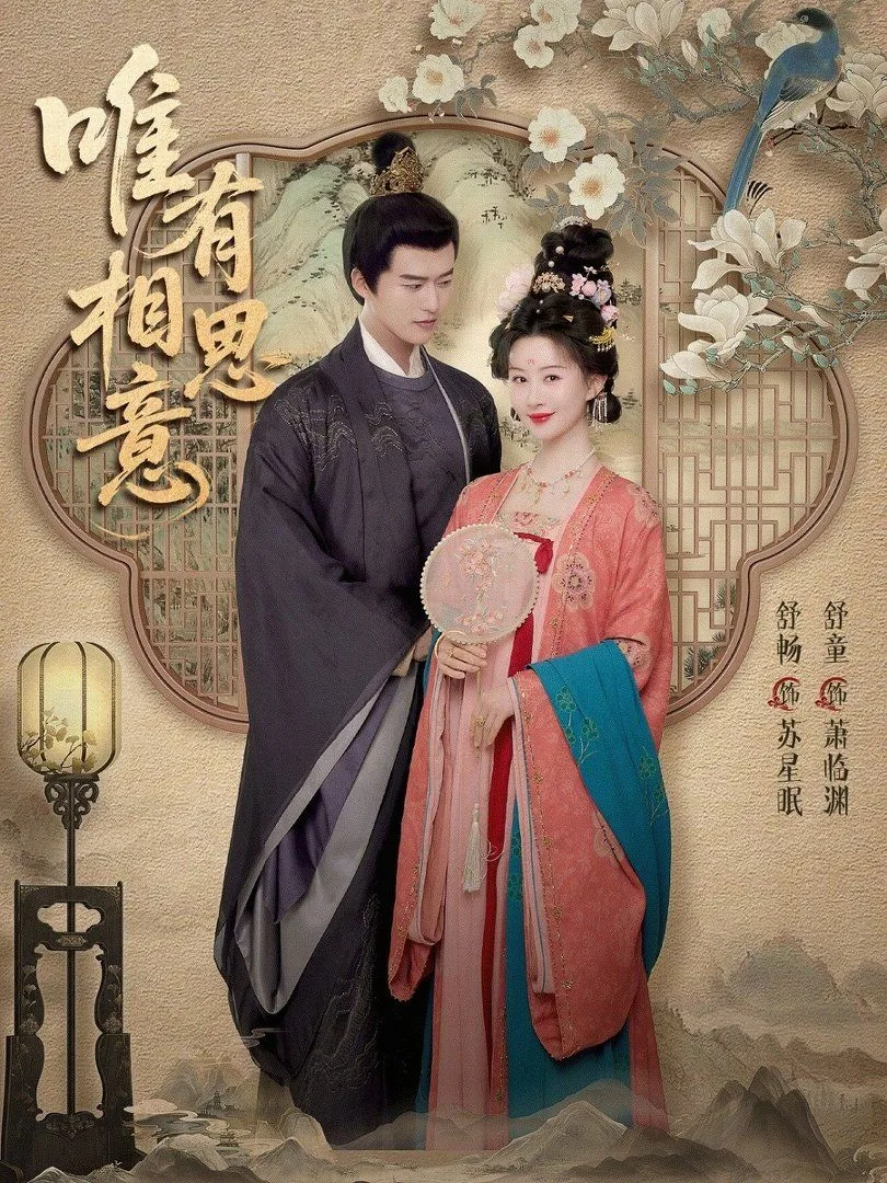 唯有相思意海报