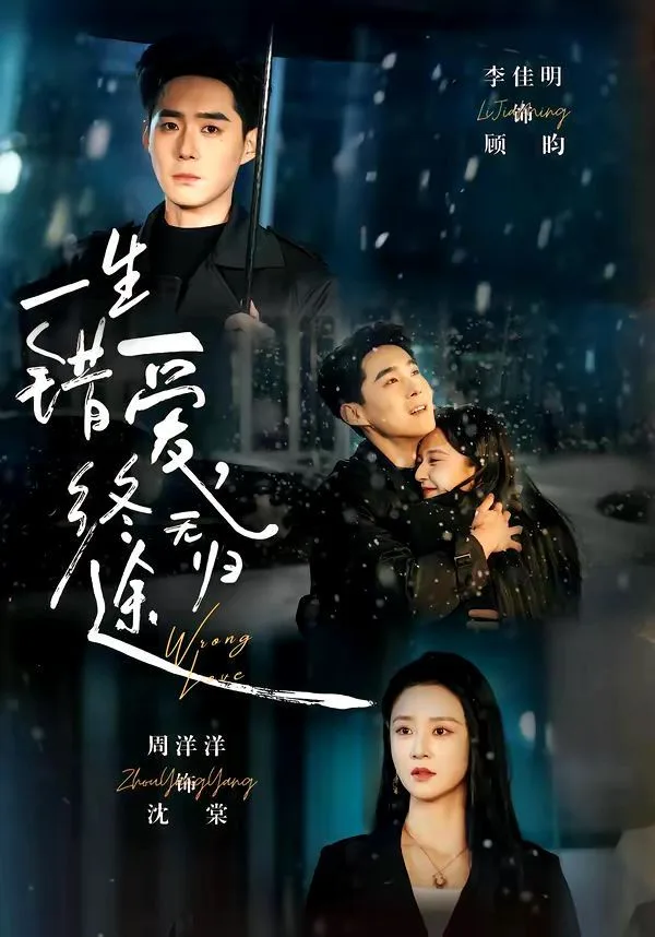 一生错爱，终无归海报