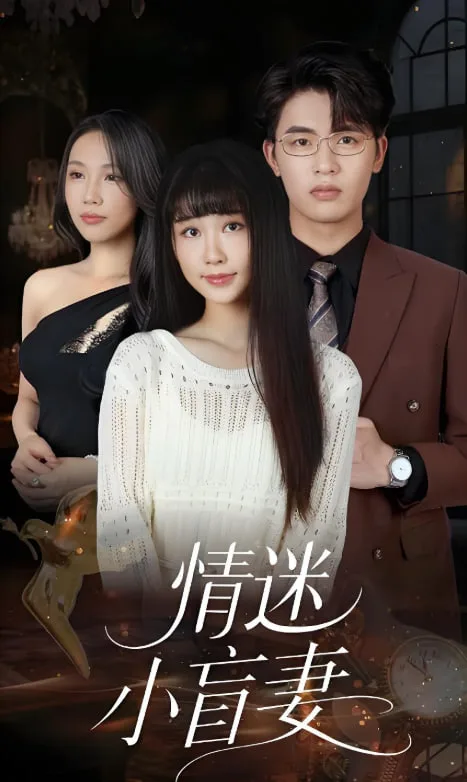 情迷小盲妻海报