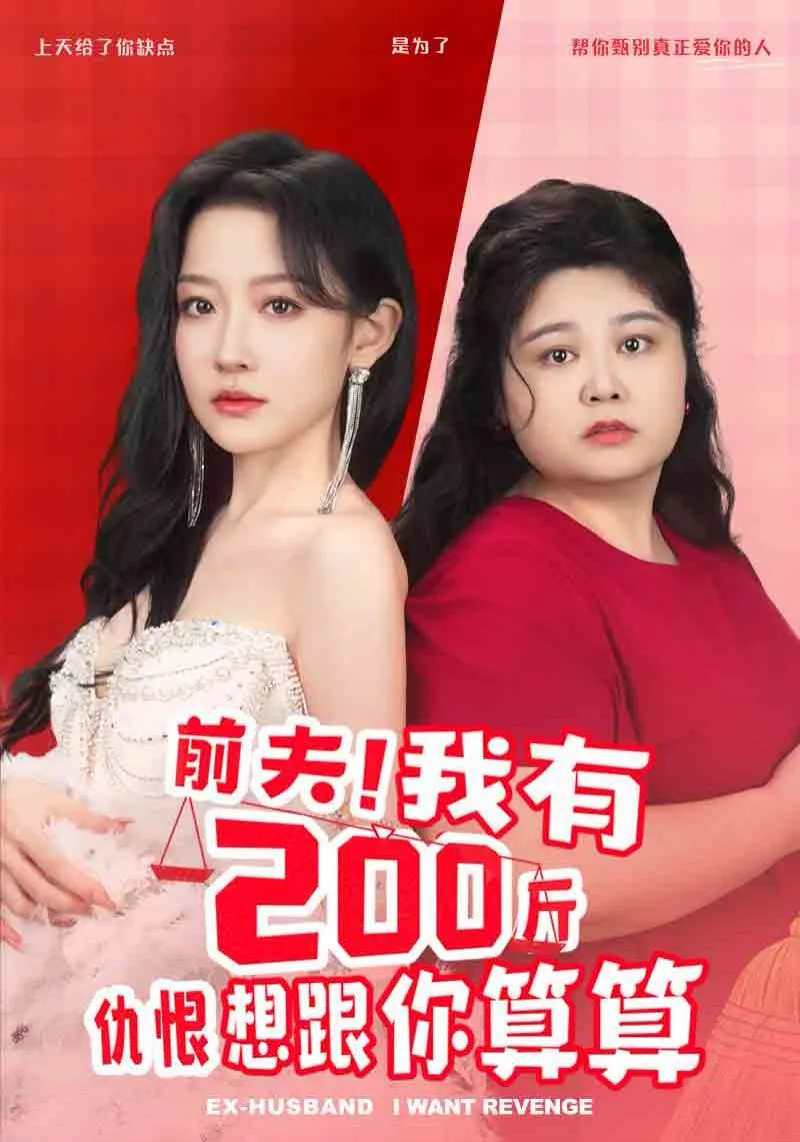 前夫我有200斤仇恨想跟你算算海报