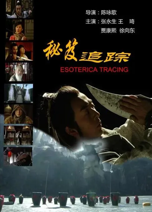 秘笈追踪海报