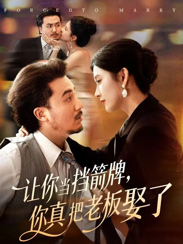 让你当挡箭牌，你真把老板娶了海报
