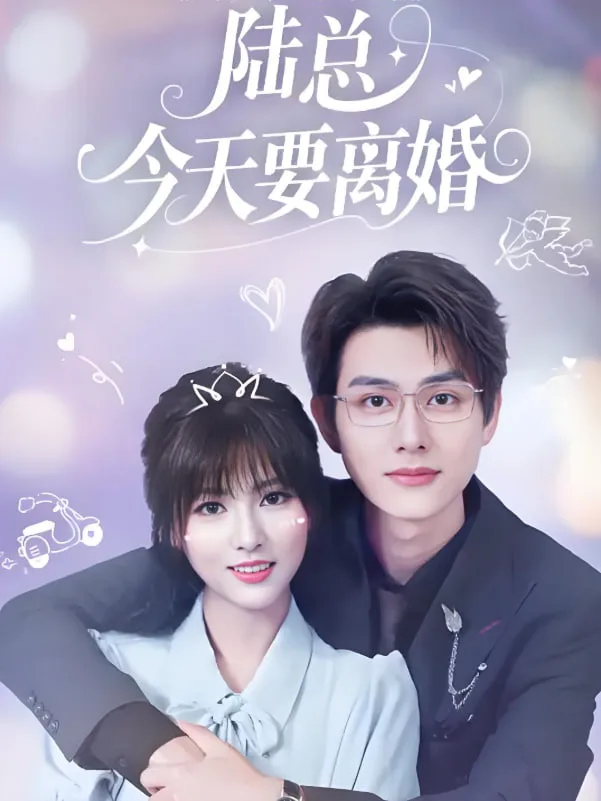 陆总今天要离婚海报