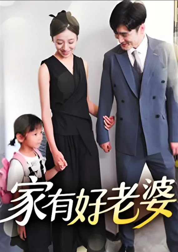 家有好老婆海报