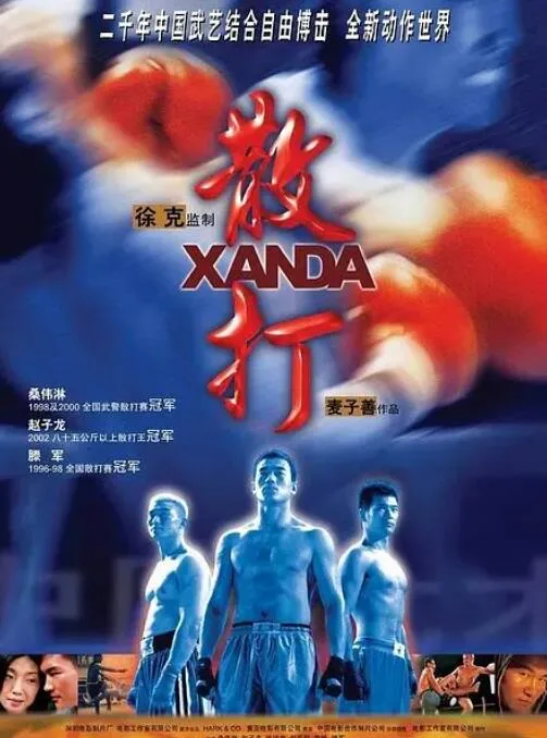 散打海报