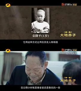 杂交水稻之父袁隆平海报