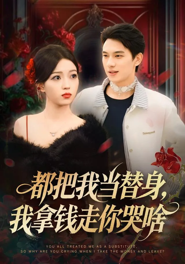 都把我当替身，我拿钱就走你哭啥海报