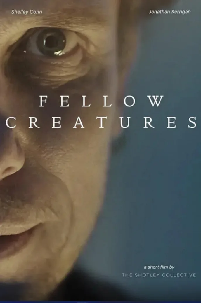 同胞们海报
