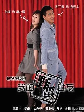 我的野蛮女友海报