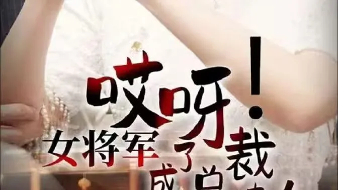 哎呀！女将军成了总裁夫人海报