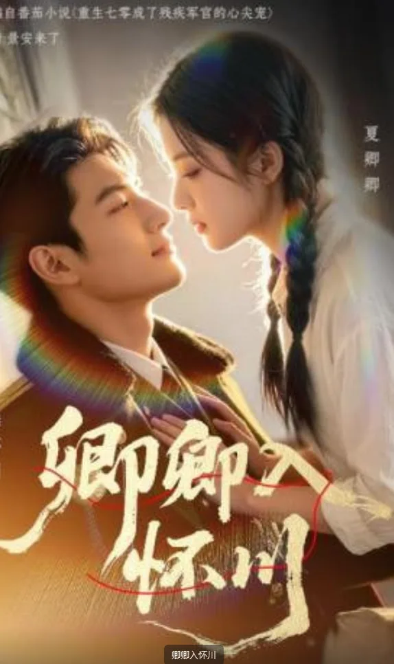 卿卿入怀川海报