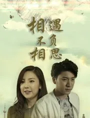 相遇不负相思海报