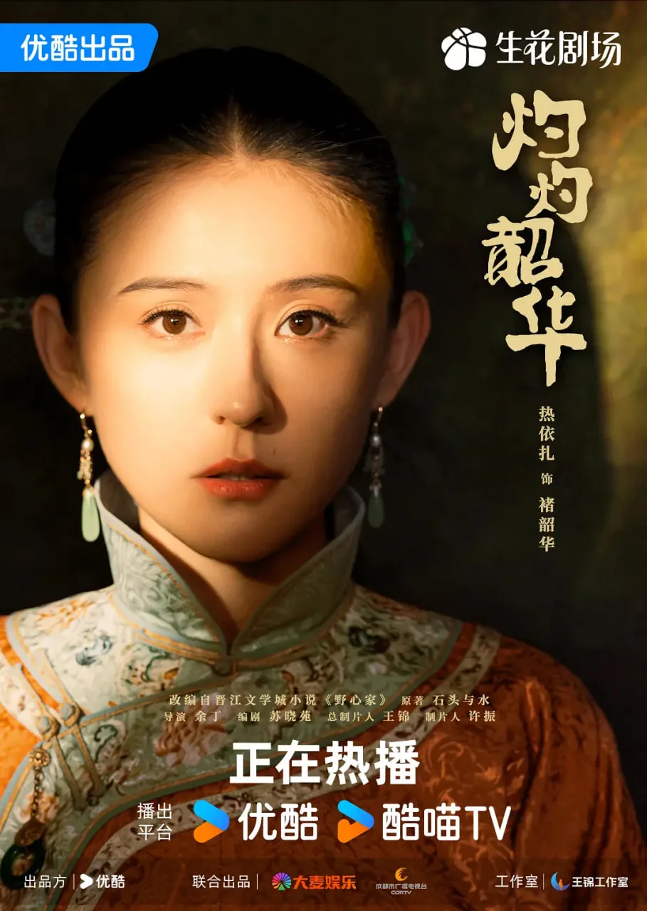 灼灼韶华海报