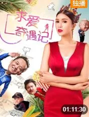 求爱奇遇记海报