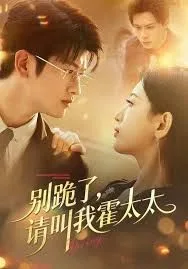 别跪了请叫我霍太太海报