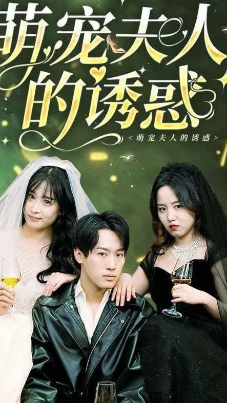 萌宠夫人的诱惑海报