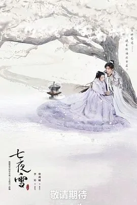 七夜雪海报