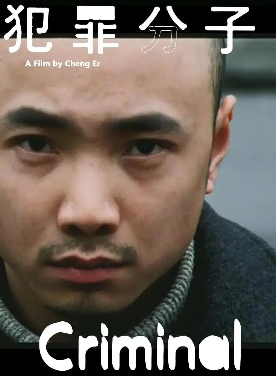 犯罪分子海报