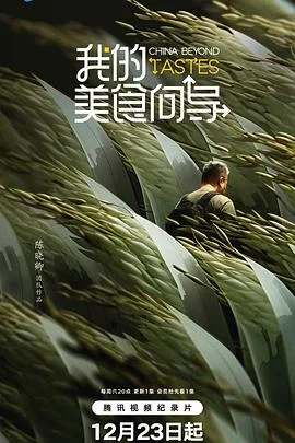 我的美食向导海报