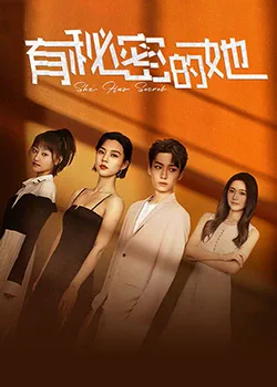 有秘密的她海报