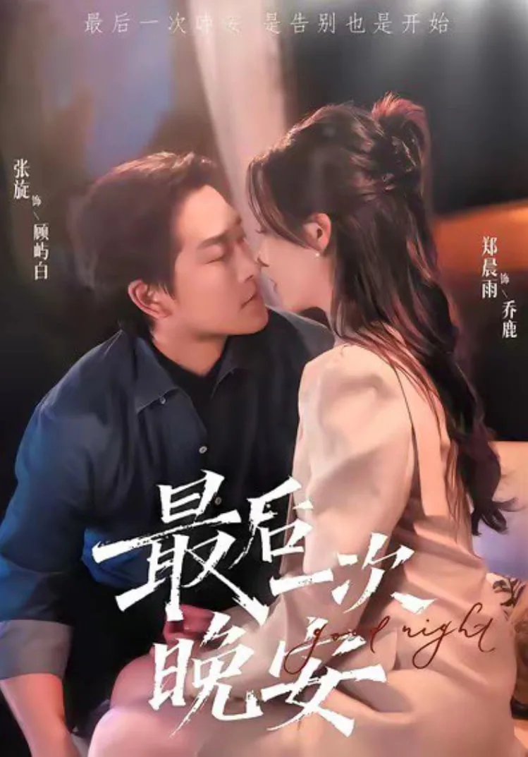 最后一次晚安海报
