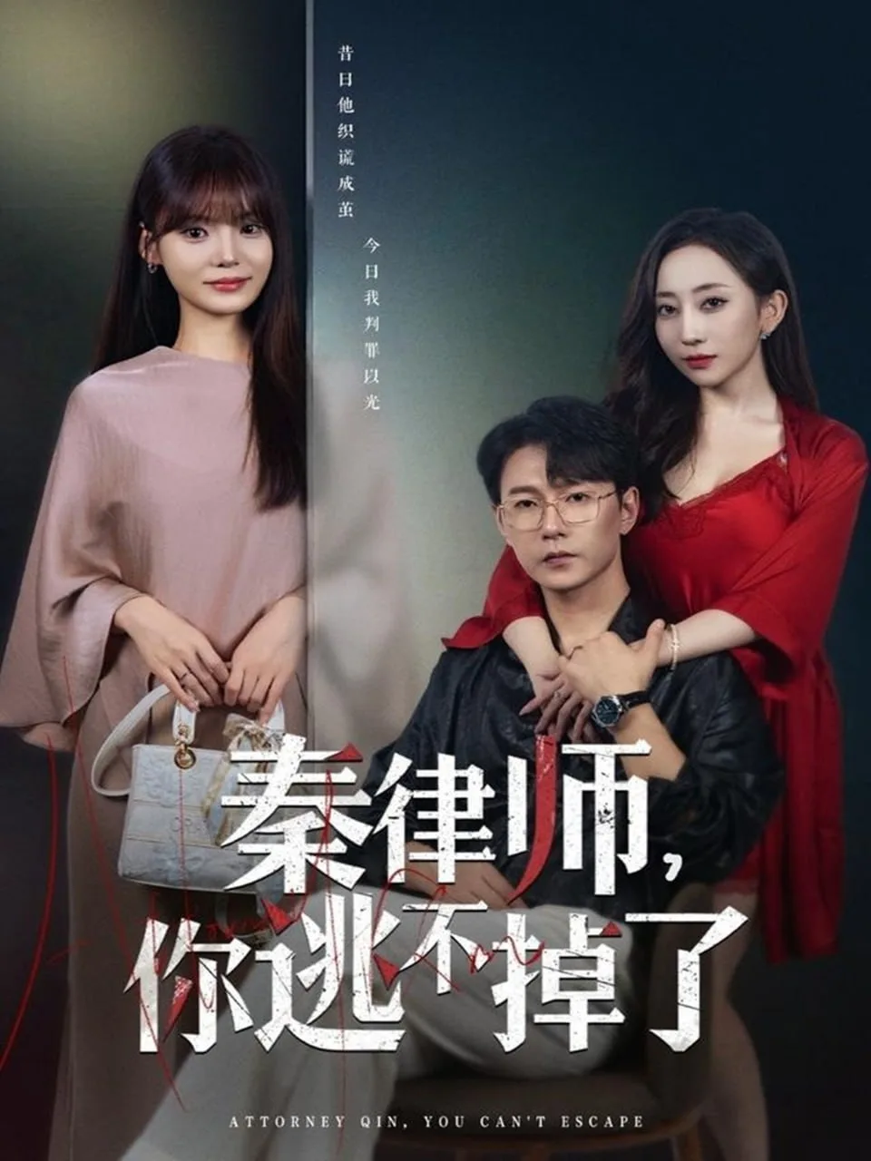秦律师你逃不掉了海报