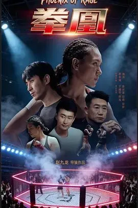 拳凰海报