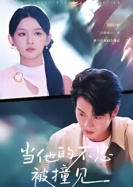 当他的不忠被撞见海报