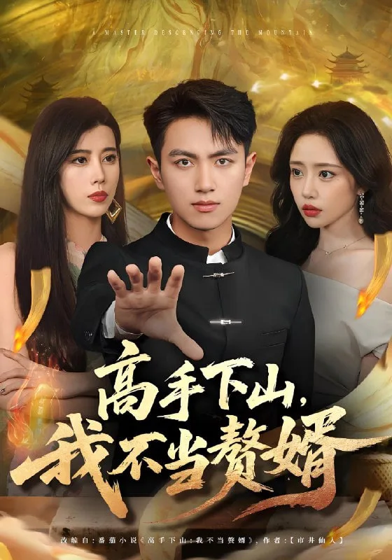 高手下山我不当赘婿海报