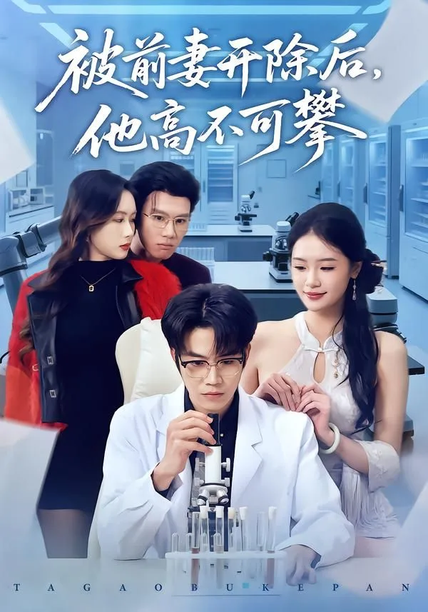 被前妻开除后，他高不可攀海报