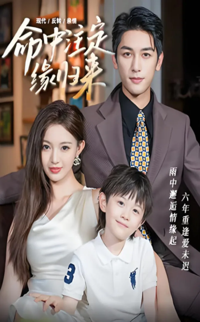 命中注定缘归来海报