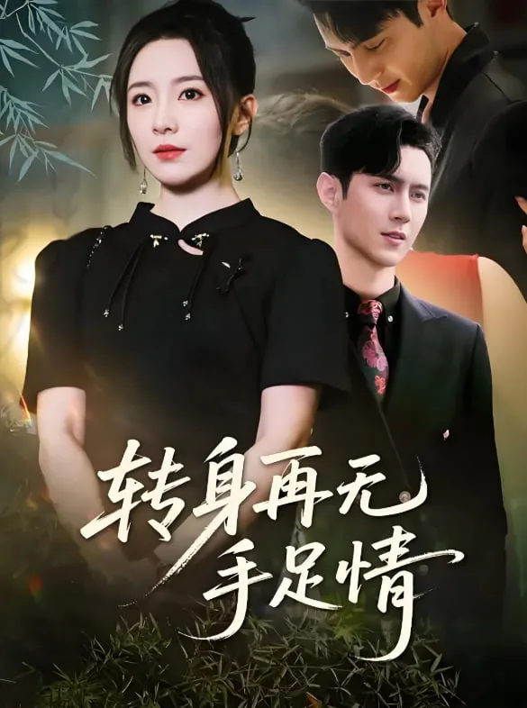 转身再无手足情海报