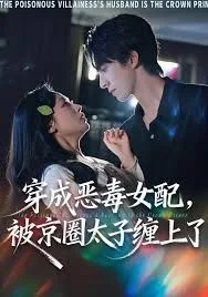 穿成恶毒女配被京圈太子缠上了海报