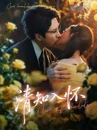 清知入怀海报