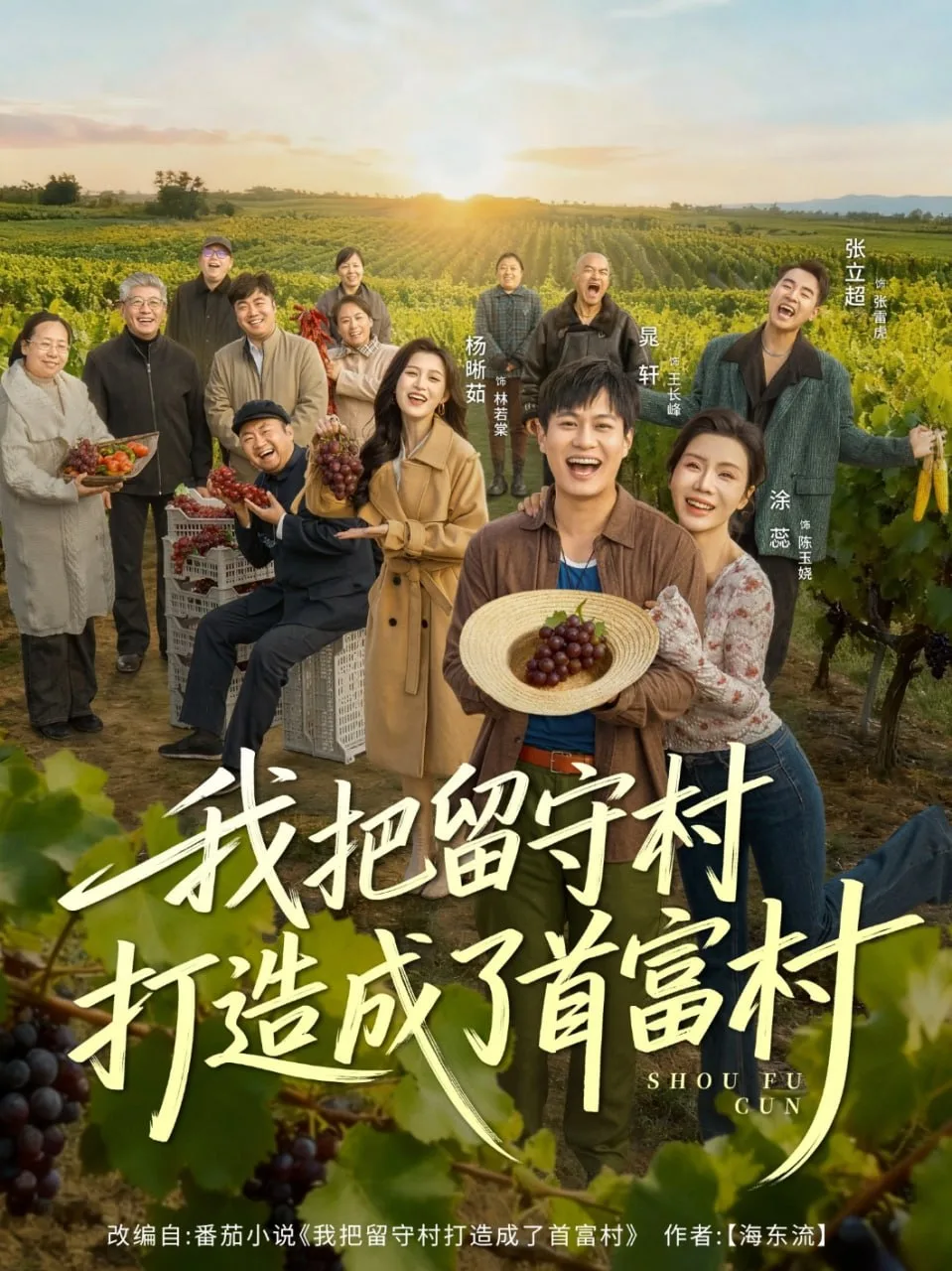 我把留守村打造成了首富村海报