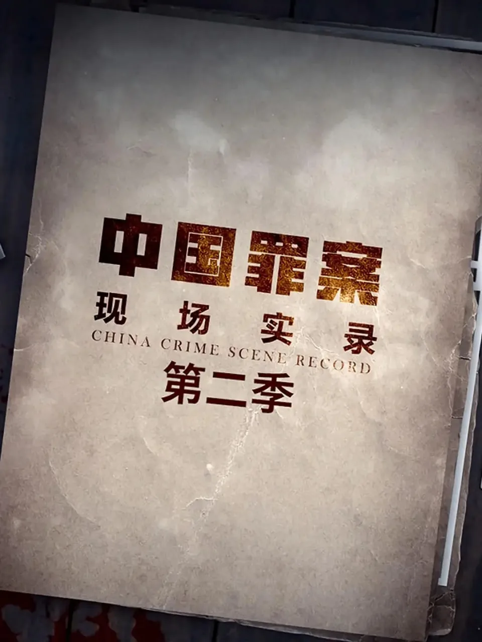 罪案现场实录 第二季海报
