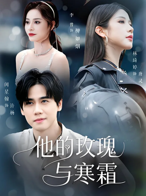 他的玫瑰与寒霜海报