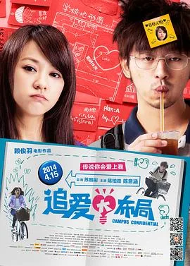 追爱大布局海报